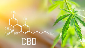 What is CBD and What Does it Do?